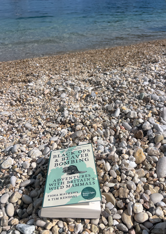 Black Ops & Beaver Bombing//Fiona Mathews and Tim Kendall - A review by Wayne