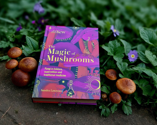 The Magic of Mushrooms//Sandra Lawrence - A review by Stacy @locs_on_location