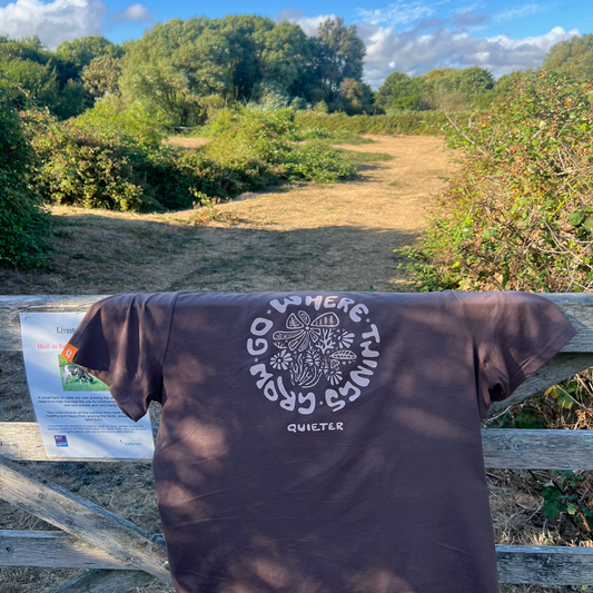 A dark brown t-shirt with a white circular graphic print featuring a bee and the text 'WHERE SHITTING GOES QUIETER' is draped over a wooden fence in an outdoor grassy field.