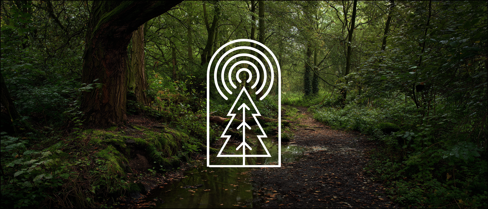 Forest scene with a white circular logo featuring a tree design.