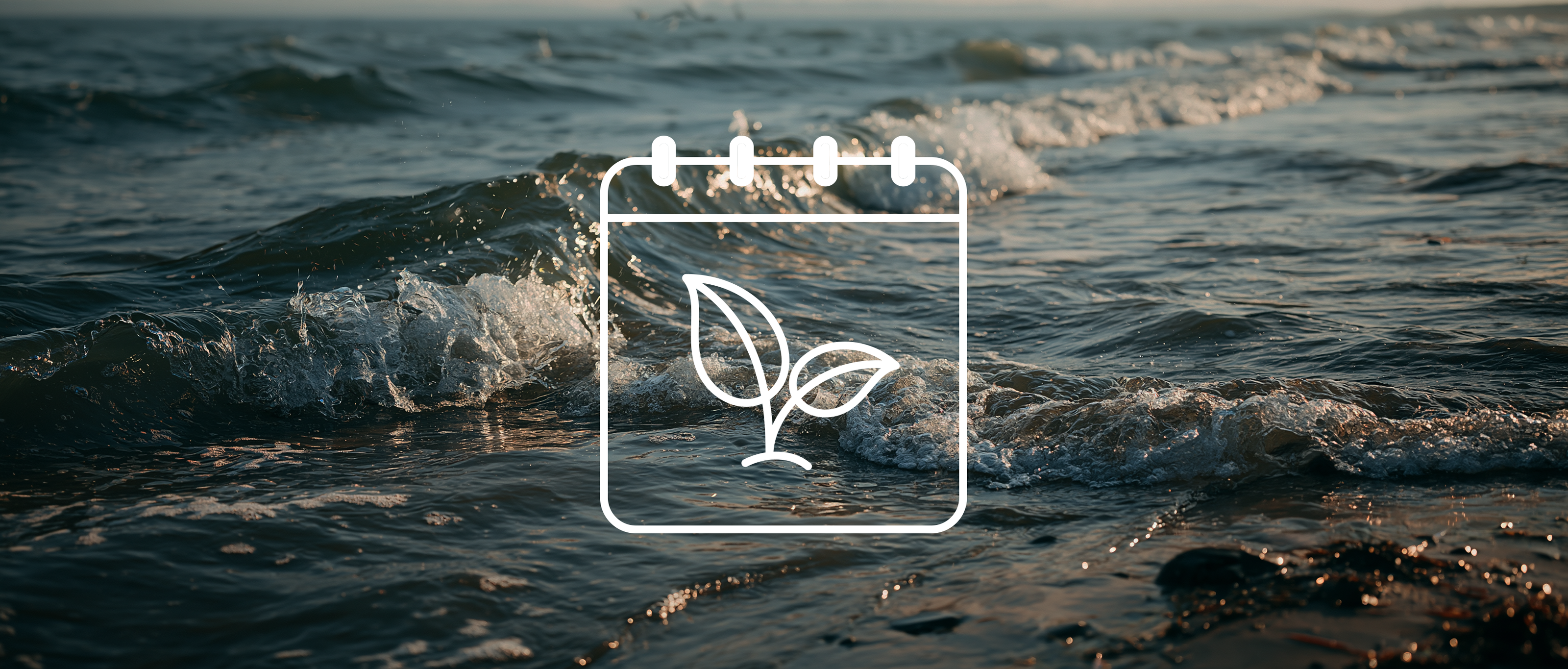Calendar icon with leaf design over a beach scene with waves.